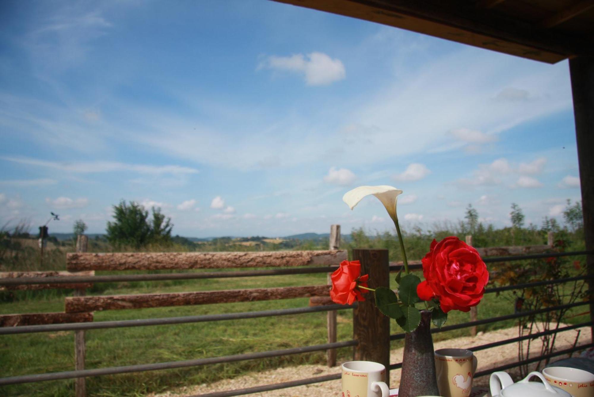 Mobil-home Ferme La Fee Spiruline Aurignac Camping Aurignac (Haute-Garonne)